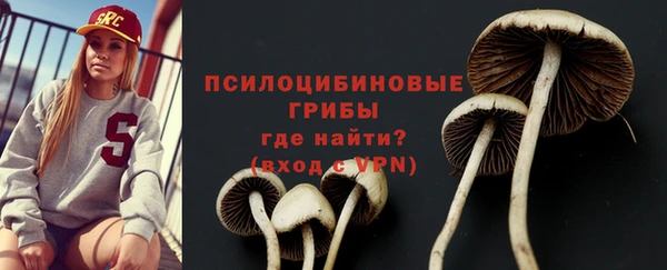 COCAINE Инсар
