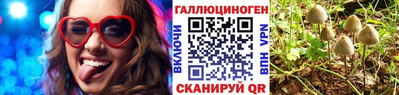 Галлюциногенные грибы Psilocybe  Купить  Барабинск 
